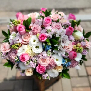 Blush Pastel Peony Rose