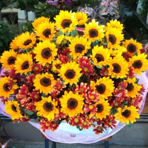 Golden Sunshine Sunflower