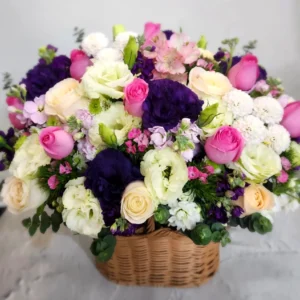 Harmony Garden Bloom