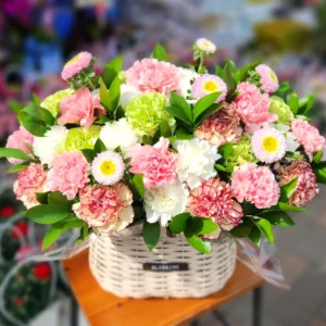 Spring Pastel Carnation