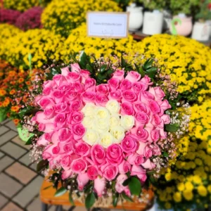 Sweetheart Blushing Rose